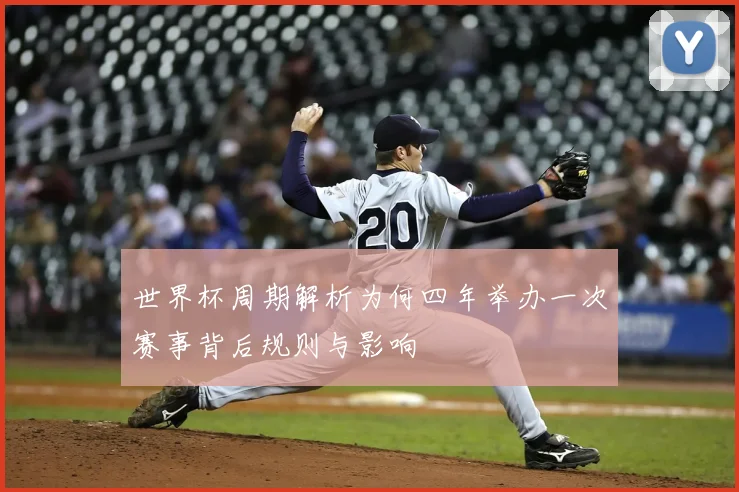 世界杯周期解析为何四年举办一次赛事背后规则与影响