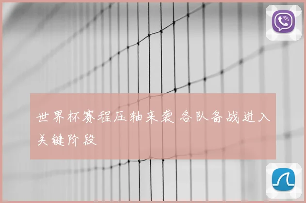 世界杯赛程压轴来袭 各队备战进入关键阶段