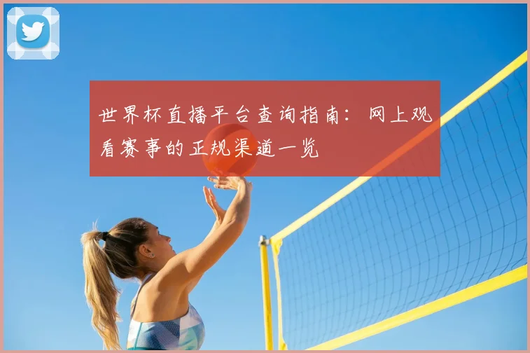 世界杯直播平台查询指南:网上观看赛事的正规渠道一览